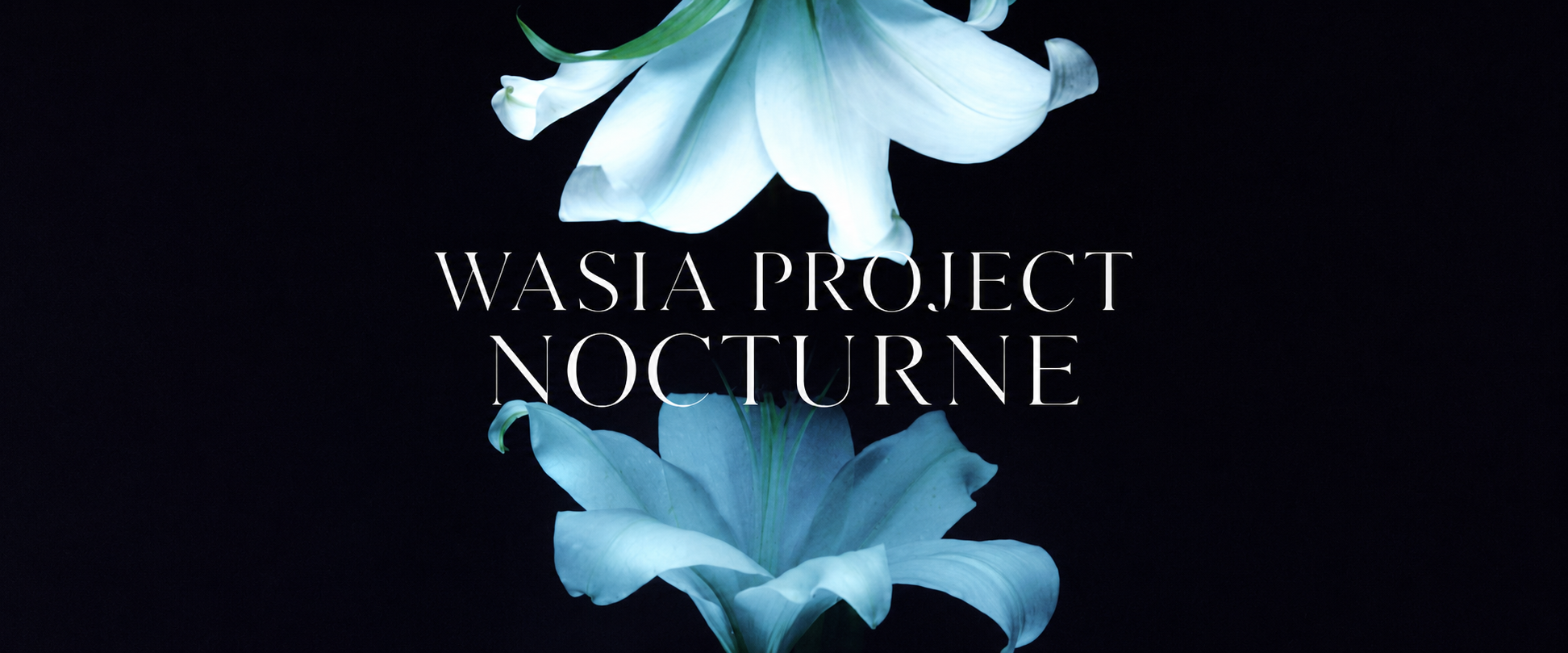 Wasia Project - Accessories
