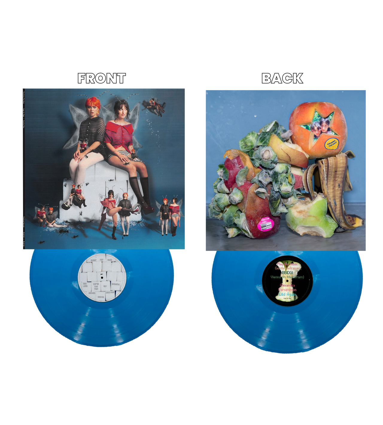 Fruit For Flies and Sugar For Bugs Vinyl