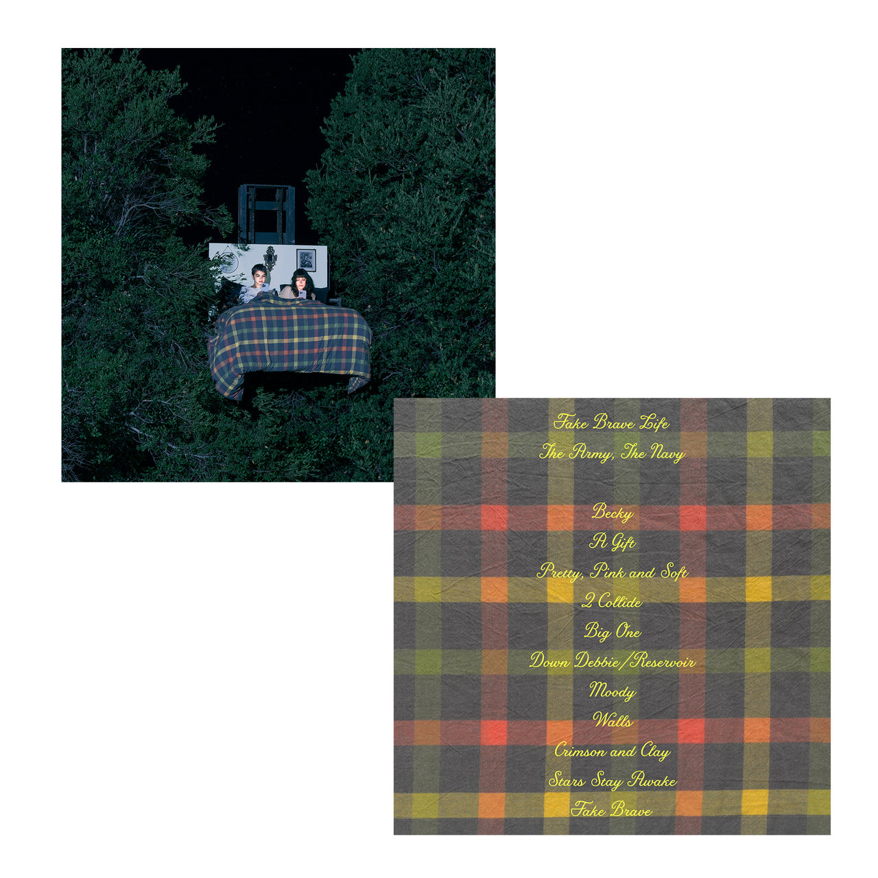 Fake Brave Life Puzzle