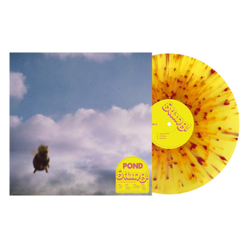 Pond Stung! (Splatter Honey) Vinyl 2xLP