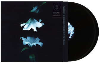  Nocturne Black Vinyl